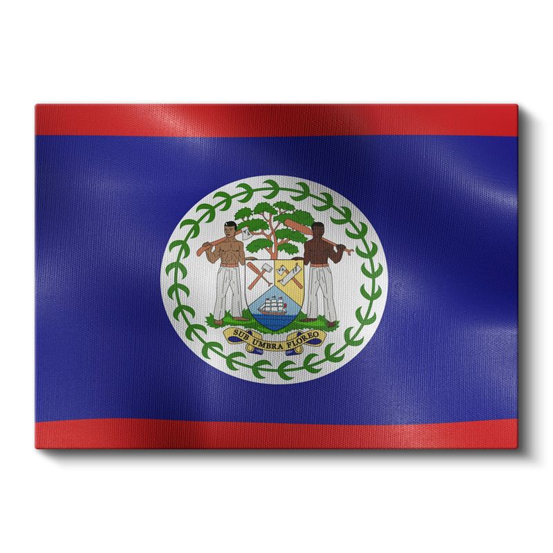 Belize Bayrağı - Dalgalı Görünüm Kanvas Tablo