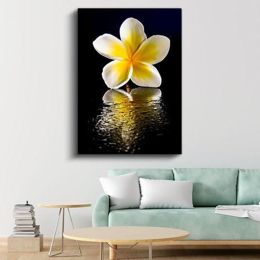Plumeria Çiçeği - Siyah Fonda Yansıma Kanvas Tablo