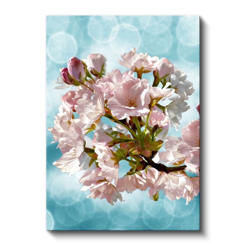 Kiraz Çiçekleri - Turkuaz Fonda Bahar Dalı Kanvas Tablo