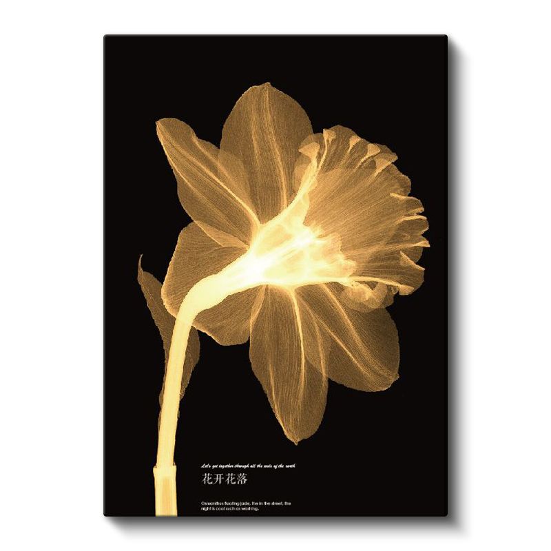 Altın Nergis - Siyah Fonda X-Ray Çiçek Kanvas Tablo