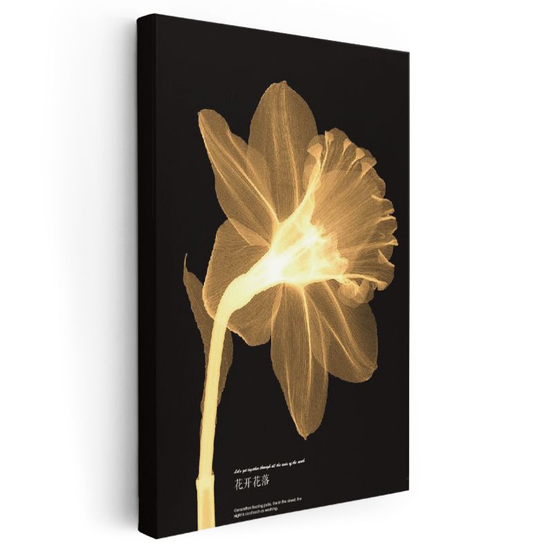 Altın Nergis - Siyah Fonda X-Ray Çiçek Kanvas Tablo