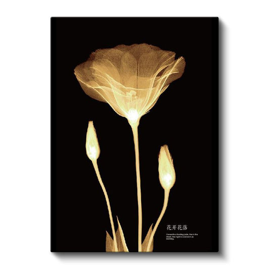 Altın Gelincik - Minimalist Transparan Çiçek Kanvas Tablo