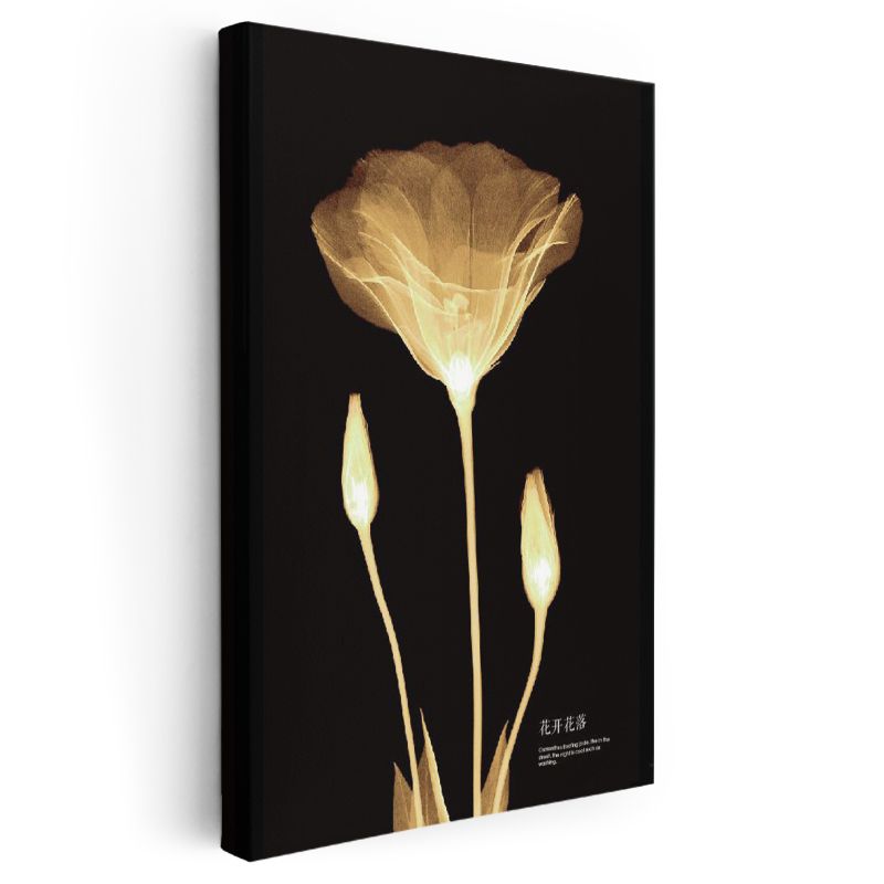 Altın Gelincik - Minimalist Transparan Çiçek Kanvas Tablo