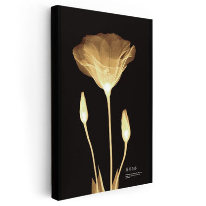 Altın Gelincik - Minimalist Transparan Çiçek Kanvas Tablo