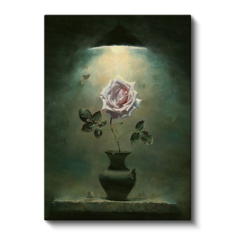 Işık Altında Gül - Mistik Atmosferli Çiçek Kanvas Tablo