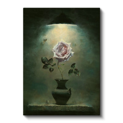 Işık Altında Gül - Mistik Atmosferli Çiçek Kanvas Tablo
