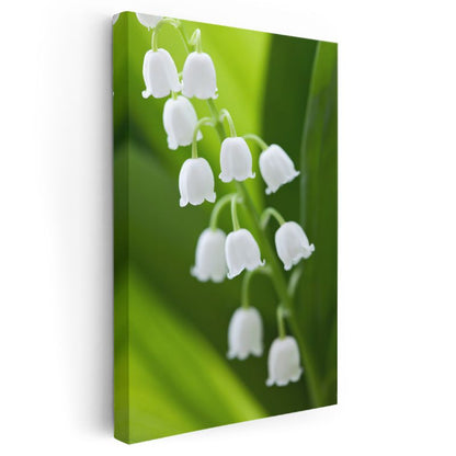Müge Çiçekleri - Yeşil Fonda Narin Beyaz Çiçekler Kanvas Tablo