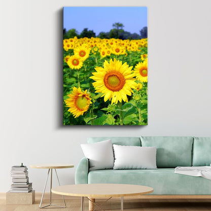 Ayçiçeği Tarlası - Canlı Sarı Çiçekler Manzarası Kanvas Tablo
