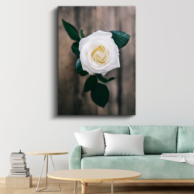 Beyaz Gül - Minimalist Çiçek Portresi Kanvas Tablo