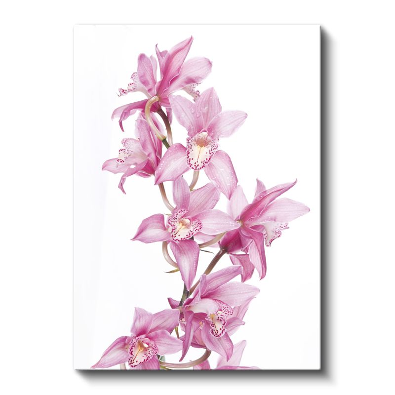 Pembe Orkideler - Beyaz Fonda Zarif Çiçek Dizilimi Kanvas Tablo