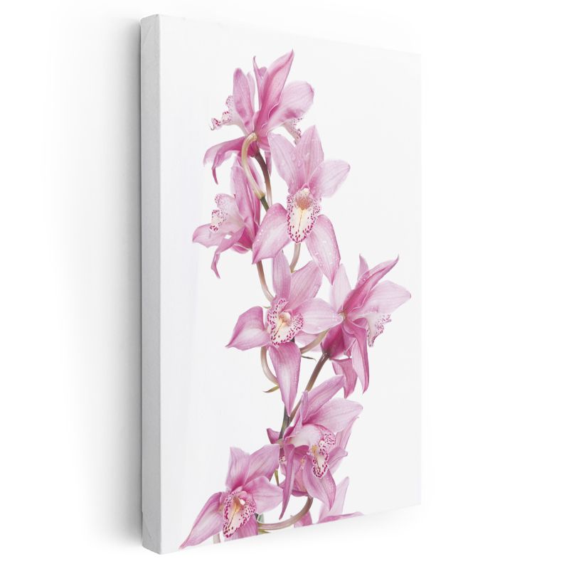 Pembe Orkideler - Beyaz Fonda Zarif Çiçek Dizilimi Kanvas Tablo