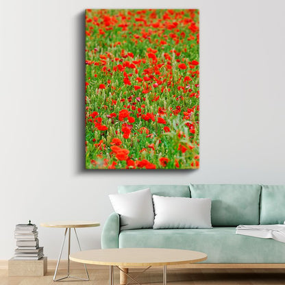 Gelincik Tarlası - Kırmızı Çiçekli Doğa Manzarası Kanvas Tablo