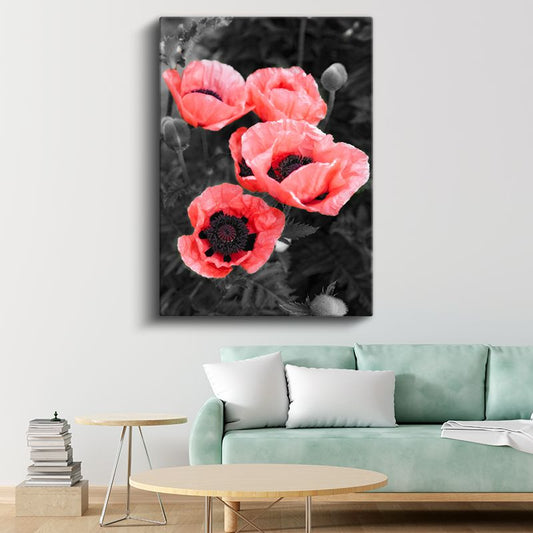 Kırmızı Gelincikler - Siyah Beyaz Fonda Canlı Çiçekler Kanvas Tablo
