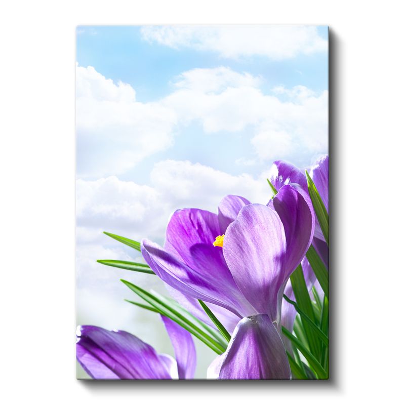 Bahar Çiğdemleri - Gökyüzü Fonunda Mor Çiçekler Kanvas Tablo