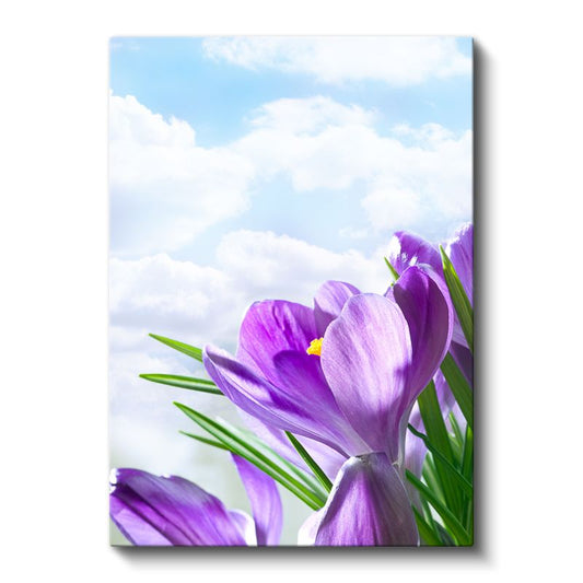 Bahar Çiğdemleri - Gökyüzü Fonunda Mor Çiçekler Kanvas Tablo