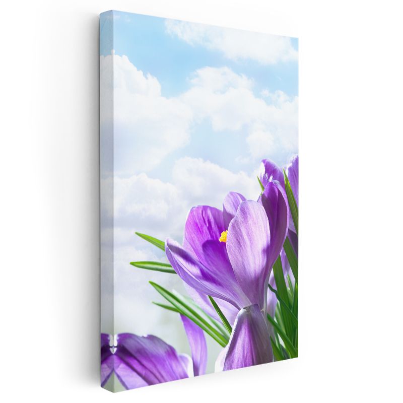 Bahar Çiğdemleri - Gökyüzü Fonunda Mor Çiçekler Kanvas Tablo