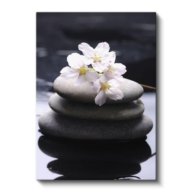 Zen Çiçekleri - Taşlar Üzerinde Kiraz Çiçekleri Kanvas Tablo