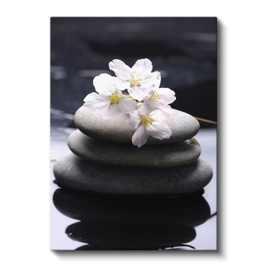 Zen Çiçekleri - Taşlar Üzerinde Kiraz Çiçekleri Kanvas Tablo