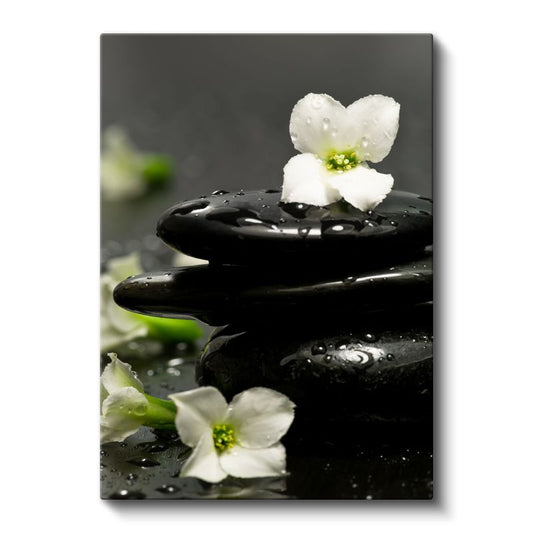 Spa Konsepti - Siyah Taşlar ve Beyaz Çiçekler Kanvas Tablo