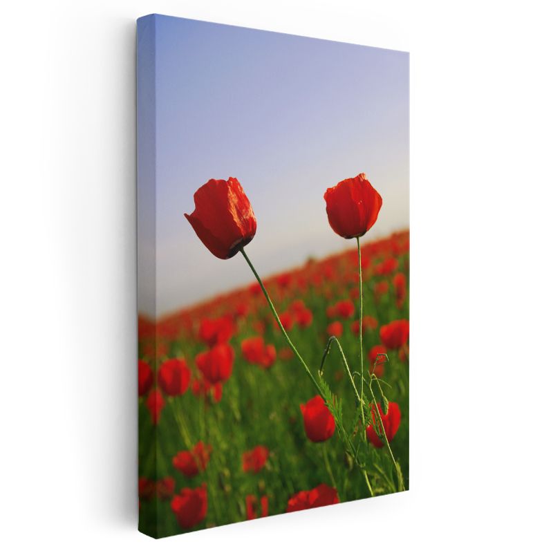 Gelincik Manzarası - Kırmızı Çiçekler ve Mavi Gökyüzü Kanvas Tablo