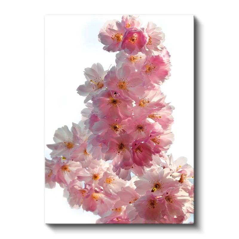 Kiraz Çiçekleri - Zarif Pembe Çiçek Demeti Kanvas Tablo