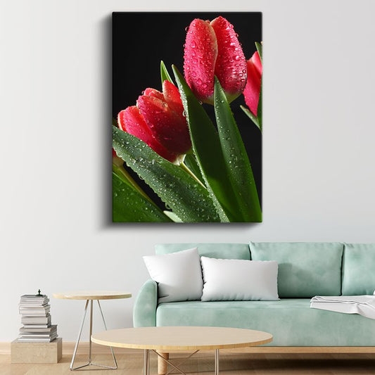 Kırmızı Laleler - Çiy Damlacıklı Zarif Çiçekler Kanvas Tablo