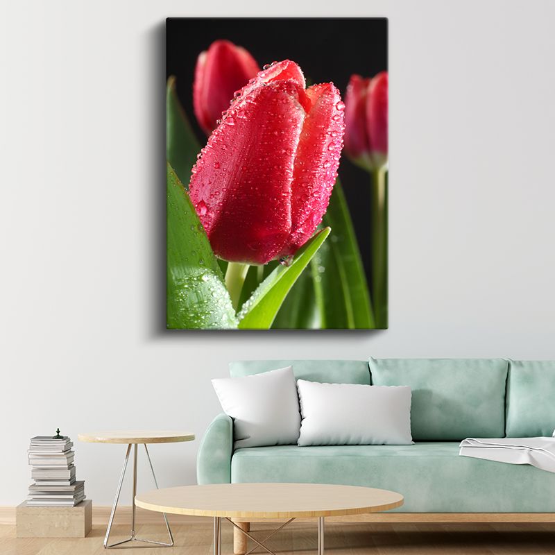 Kırmızı Lale - Siyah Fonda Çarpıcı Çiçek Portresi Kanvas Tablo
