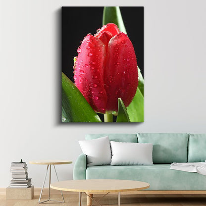Kırmızı Lale Tomurcuğu - Damlacıklarla Süslenmiş Çiçek Kanvas Tablo
