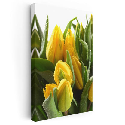 Sarı Laleler - Çiy Damlalı Bahar Çiçekleri Kanvas Tablo