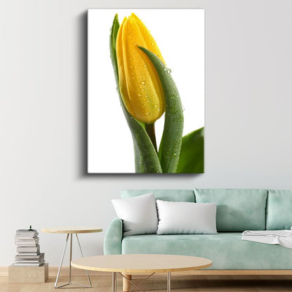 Sarı Lale Tomurcuğu - Minimal Çiçek Portresi Kanvas Tablo