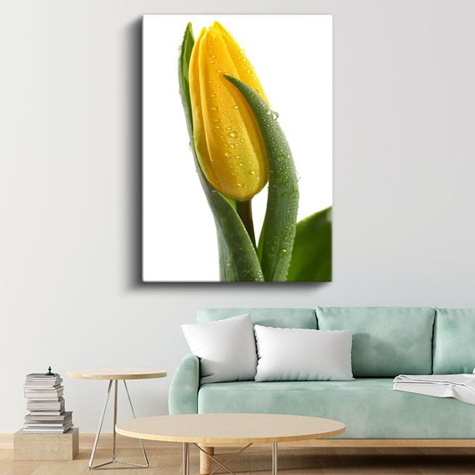 Sarı Lale Tomurcuğu - Minimal Çiçek Portresi Kanvas Tablo