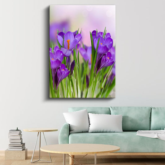 Mor Krokus Çiçekleri - Bahar Esintisi Kanvas Tablo
