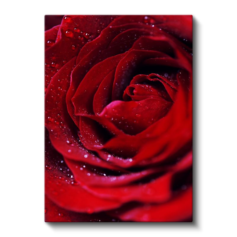 Kırmızı Gül - Çiğ Damlacıklı Kadife Dokulu Kanvas Tablo