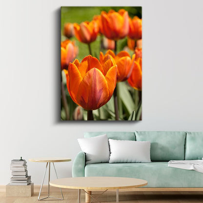 Turuncu Laleler - Doğal Bahçe Manzarası Kanvas Tablo