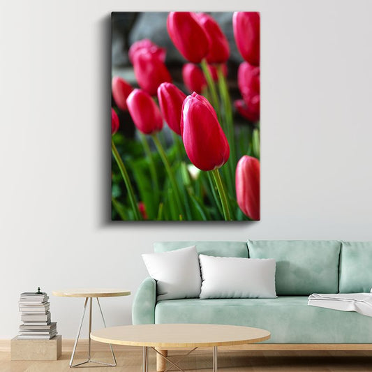 Fuşya Laleler - Canlı Bahar Çiçekleri Kanvas Tablo