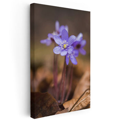 Orman Menekşesi - Sonbahar Yaprakları Üzerinde Kanvas Tablo