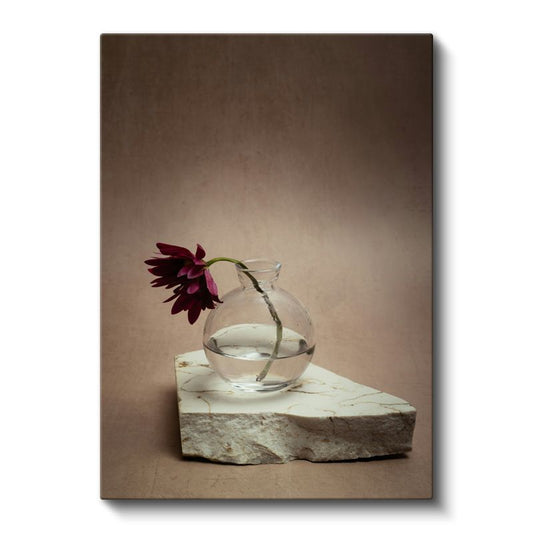 Bordo Gerbera - Minimalist Cam Vazoda Çiçek Kanvas Tablo