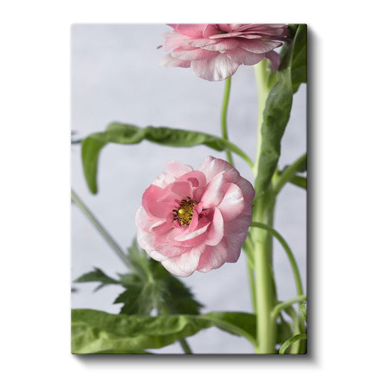 Pembe Düğün Çiçeği - Zarif Çiçek Detayı Kanvas Tablo