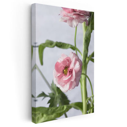 Pembe Düğün Çiçeği - Zarif Çiçek Detayı Kanvas Tablo