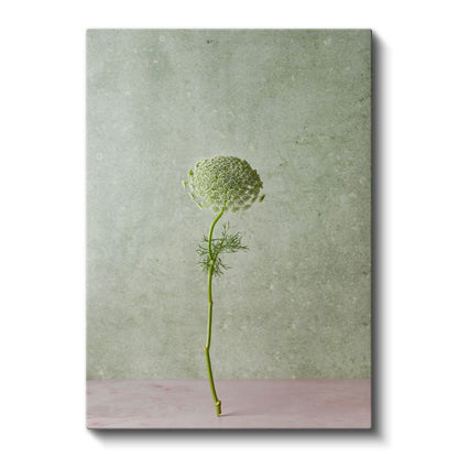 Yeşil Çiçek Tomurcuğu - Minimalist Botanik Detay Kanvas Tablo