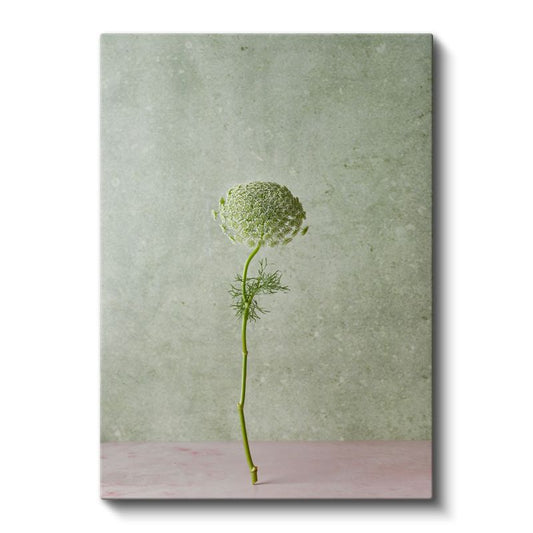 Yeşil Çiçek Tomurcuğu - Minimalist Botanik Detay Kanvas Tablo