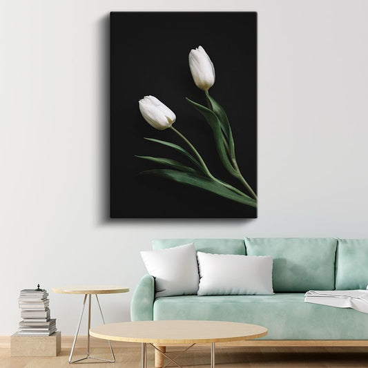 Beyaz Laleler - Siyah Fonda Minimalist Çiçek İkilisi Kanvas Tablo