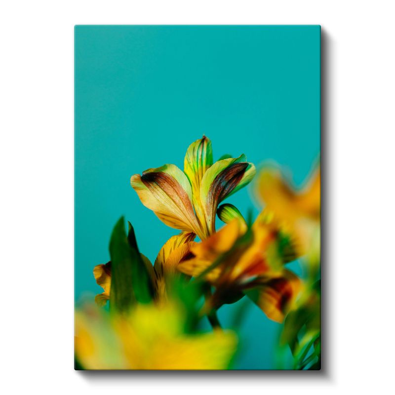 Turkuaz Gökyüzü Zambakları - Canlı Sarı Çiçek Kanvas Tablo