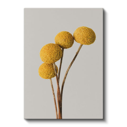 Minimalist Krizantem - Modern Sarı Yuvarlak Çiçek Kanvas Tablo