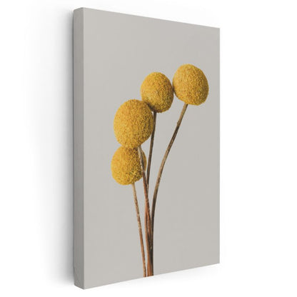 Minimalist Krizantem - Modern Sarı Yuvarlak Çiçek Kanvas Tablo
