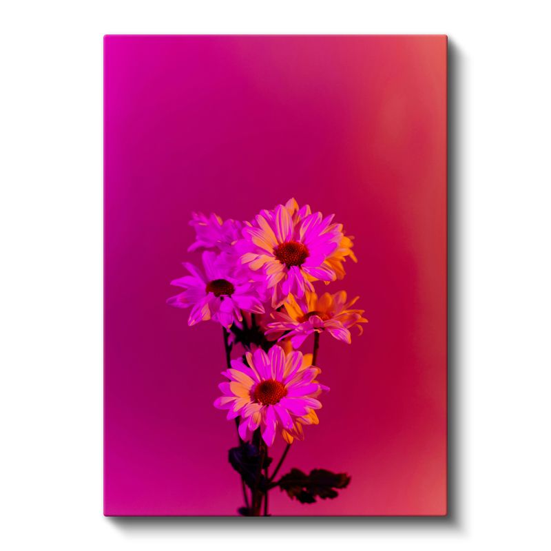 Fuşya Papatyalar - Canlı Neon Çiçek Buketi Kanvas Tablo