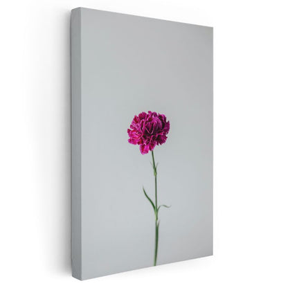 Fuşya Karanfil - Minimalist Tekli Çiçek Kanvas Tablo