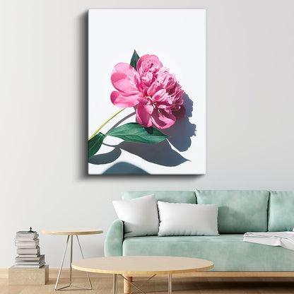 Pembe Şakayık - Modern Botanik Fotoğraf Kanvas Tablo