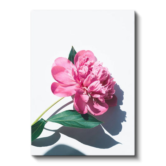 Pembe Şakayık - Modern Botanik Fotoğraf Kanvas Tablo