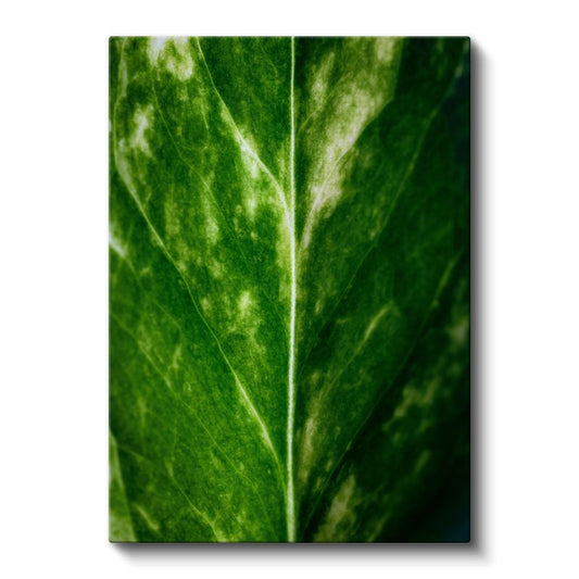 Zümrüt Yaprak Dokusu - Minimal Botanik Detay Kanvas Tablo